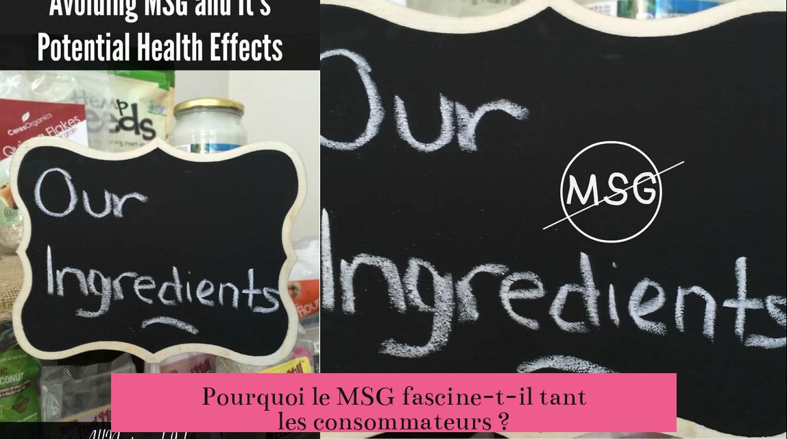 Pourquoi le MSG fascine-t-il tant les consommateurs ?