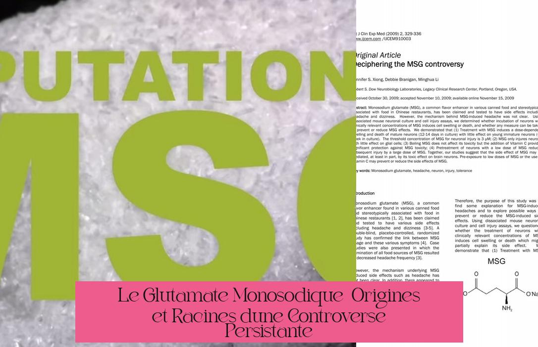 Le Glutamate Monosodique : Origines et Racines d'une Controverse Persistante